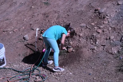 DSC_1152 (Large).JPG